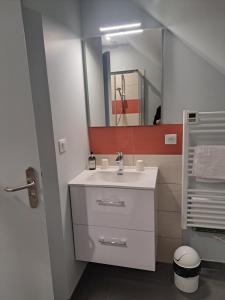 La salle de bains est pourvue d'un lavabo blanc et d'un miroir. dans l'établissement Le petit Védaquais, à Vaas