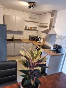 een keuken met een potplant op een tafel bij Appartement VUe MER avec parking gratuit sur place in Bastia