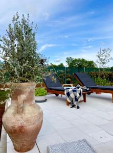 Ogród w obiekcie Boutique house Istria with pool and fireplace