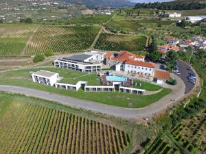 uma vista aérea de uma propriedade numa vinha em Douro Scala em Mesão Frio