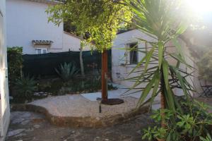 a courtyard with a tree and a building at B&B Bessy 10 in Antibes
