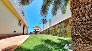 a palm tree in front of a building at El Mar in San Agustin