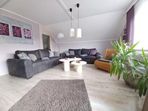 a living room with a couch and a table at Ferienwohnungen Finke in Frankenau