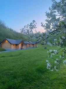 eine Gruppe von Lodges auf einem Feld mit einem Baum in der Unterkunft Wooden Corner in Kolašin