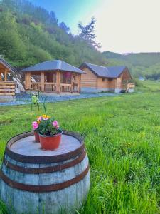 una cabaña de madera en un campo con un barril de flores en Wooden Corner, en Kolašin