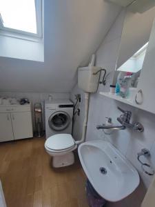 een kleine badkamer met een toilet en een wastafel bij istanbul apartment 4 in Belgrado