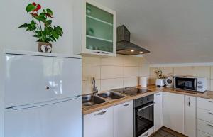 Gallery image of Apartments Pada in Korčula