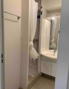 La salle de bains est pourvue d'un lavabo et d'une douche avec rideau de douche. dans l'établissement Studio - face de l’hôpital nord, à Saint-Priest-en-Jarez