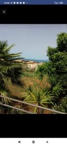 Ảnh trong thư viện ảnh của villa solare ở Castellammare del Golfo