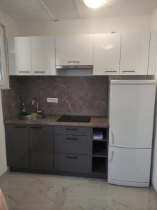 Kuchyň nebo kuchyňský kout v ubytování Apartman Budimir1