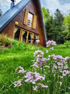 un campo de flores púrpuras delante de una casa en Chata pod Tolštejnem, en Jiřetín pod Jedlovou