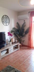 un salon avec une télévision et une plante dans l'établissement les romarins appartement climatisé, à La Seyne-sur-Mer