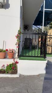 A garden outside Eirinis home