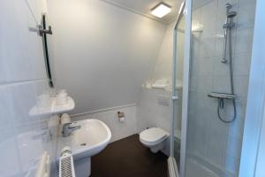 a bathroom with a toilet and a sink and a shower at Hotel B&B d'Olde Smidse in Giethoorn +45 photos