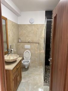 y baño con aseo, lavabo y ducha. en Apartment la mare, en Agigea