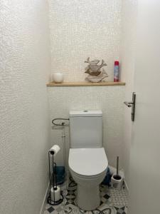ein Bad mit einem WC und einem Regal an der Wand in der Unterkunft Bienvenue au Caton in Tarbes