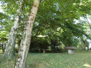 a bench sitting in the middle of a park with trees at Grand appartement 4/5 personnes in Bartrés