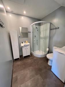uma casa de banho com um chuveiro, um WC e um lavatório. em Sielsko-Anielsko Kobyla Góra em Ligota