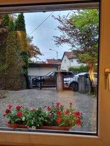 a window view of a driveway with red flowers at Workers Home Salzburg in Salzburg