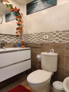 a bathroom with a toilet and a sink at Robert holiday apartment in Catania