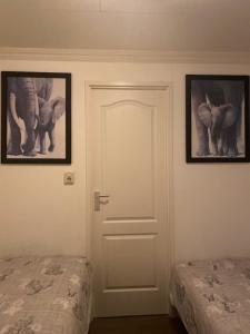 Habitación con 2 camas y 2 fotos de elefantes en la pared en Chalet, en Nistelrode