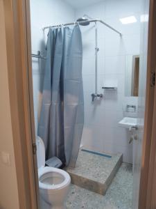 a bathroom with a toilet and a shower at Muras Hostel in Bishkek