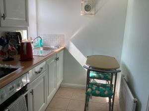 Kuchyň nebo kuchyňský kout v ubytování Riverview Apartment + 13 fotografií