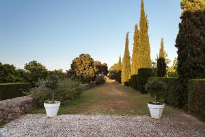 einen Garten mit zwei weißen Töpfen mit Bäumen und Büschen in der Unterkunft Imani Country House in Évora