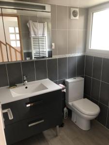 W łazience znajduje się toaleta, umywalka i lustro. w obiekcie LE STUDIO 22 w mieście Maisons-Alfort