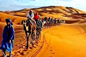 een groep mensen die kamelen berijden in de woestijn bij Merzouga Tours in Merzouga