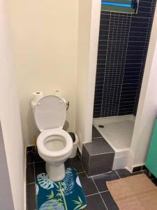 La petite salle de bains est pourvue d'une douche et de toilettes. dans l'établissement Studio cosy - Situé au Tampon, à Le Tampon