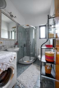 a bathroom with a shower and a toilet and a sink at Harmony villa in Sivota