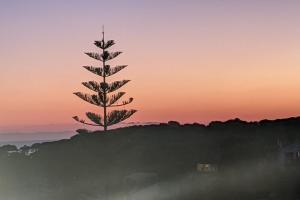 Un paisaje natural cerca del departamento