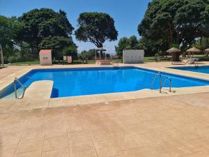 une grande piscine d'eau bleue dans l'établissement ÁGUiLA WONDERFUL AT HOME, à Benalmádena