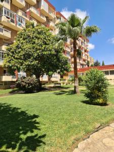 un parc avec deux palmiers et un bâtiment dans l'établissement ÁGUiLA WONDERFUL AT HOME, à Benalmádena