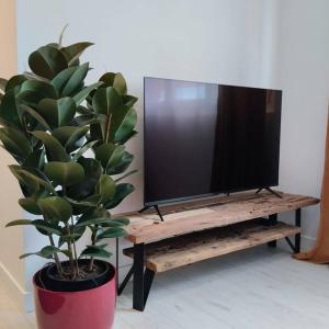 Gallery image of appartement 4 personnes, lumineux et standing in Brest