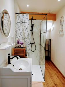ein Bad mit einer Dusche und einem weißen Waschbecken in der Unterkunft Chambre d hôtes avec 2 petits déjeuners ou Gîte in Najac