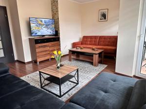 a living room with a couch and a tv at Apartament Dąbrowskiego - Gliwice in Gliwice