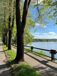 un parco con un albero e una recinzione accanto a un lago di Apartman Emilija a Bačka Palanka