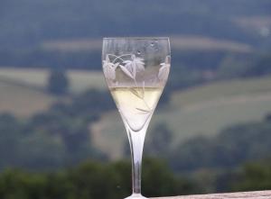 een glas witte wijn zittend op een tafel bij Unique off Grid Tree-House Stay in oak woodland in Longhope