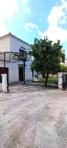 a building with a tree next to a dirt road at Irene's Guest House in Frés