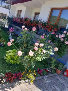 Gallery image of Uma in Bihać