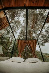 a glass room with a bed in front of a window at Bazaletis Akvani 