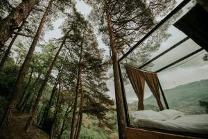 une chambre en verre avec un lit dans les bois dans l'établissement Bazaletis Akvani, 