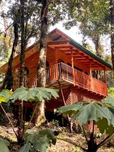 a wooden house with a balcony in the woods at Cabaña Anturios in San José