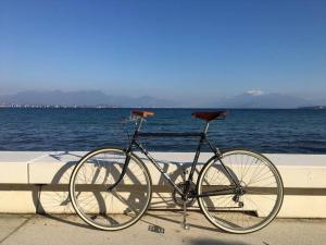 una bicicleta está estacionada junto al agua en Residenza Puccini, en Desenzano del Garda