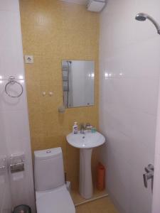 La salle de bains est pourvue d'un lavabo, de toilettes et d'un miroir. dans l'établissement Sweet home, à Tbilissi