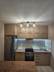een keuken met een wastafel en een koelkast bij Centar Lux Apartman in Novi Sad
