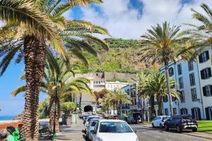 a street with palm trees and a mountain in the background at Gomes house in Ponta do Sol