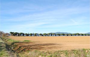 a dirt field with trees in the background at Casa Giannini in Magliano in Toscana
